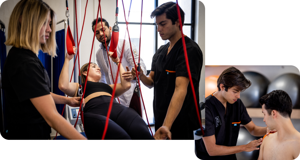 Terapia Física y Rehabilitación