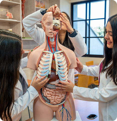 Hero_ciencias de la salud