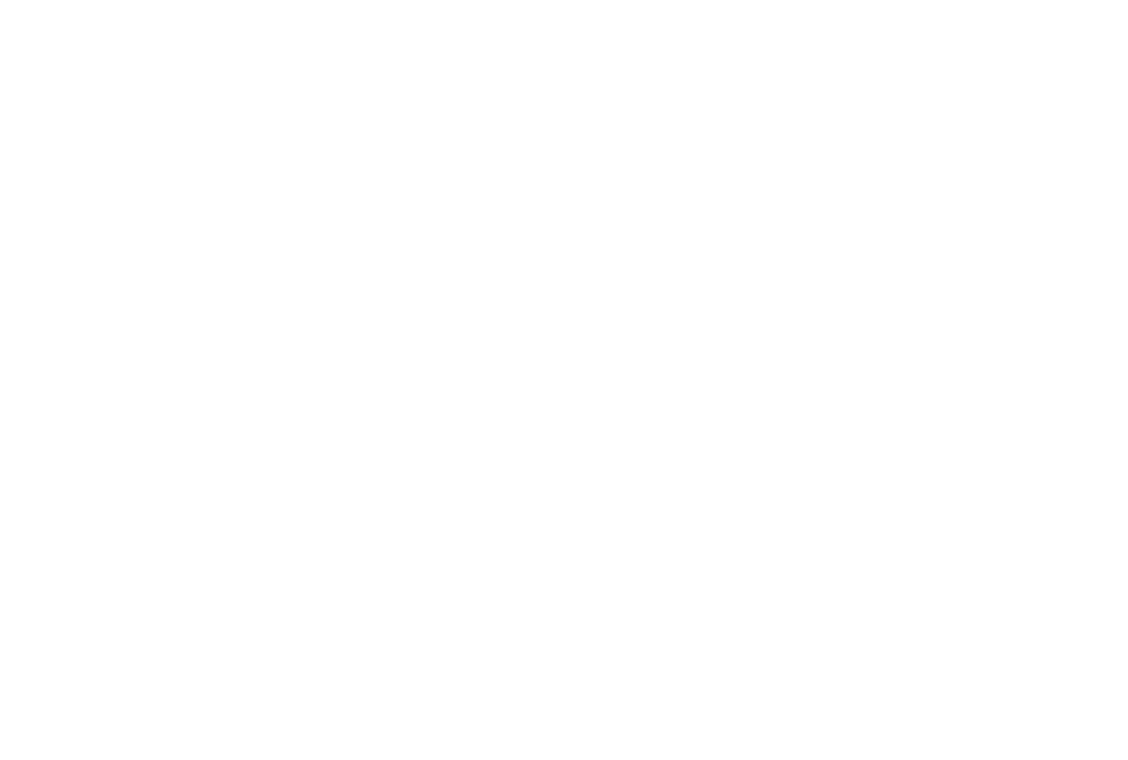 LOGO PERT BLANCO