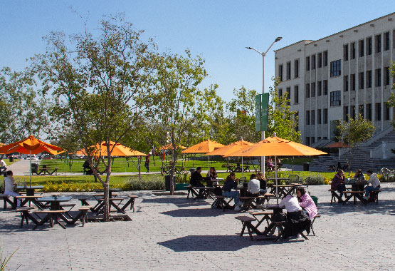 Estudiantes y profesores disfrutan de mesas de picnic al aire libre.