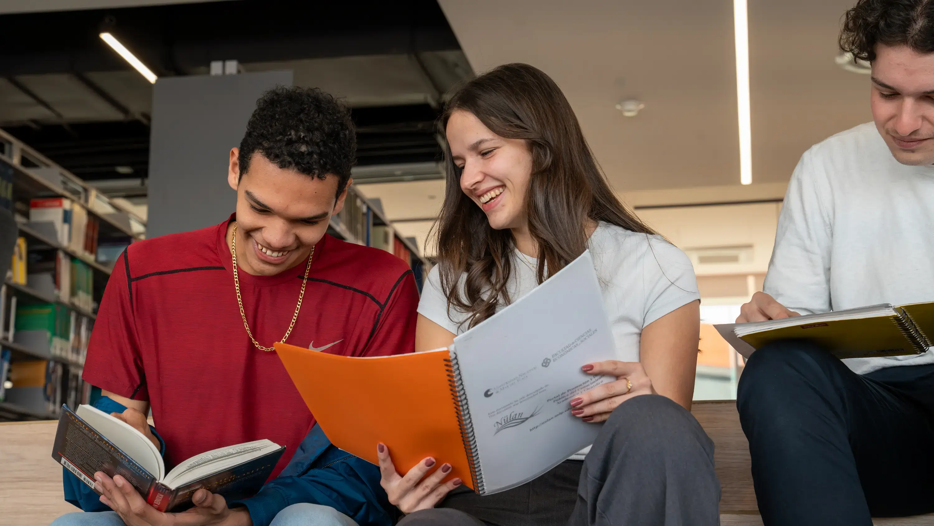 Perfil Ingreso - Anáhuac