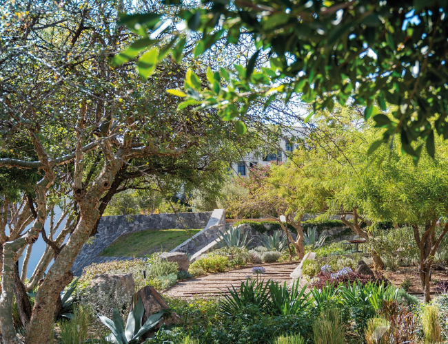 Jardin del campus Anáhuac Querétaro sostenibilidad